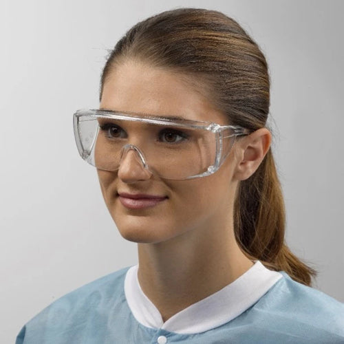 "ProVision Eyesavers Goggles Clear Frame/Clear Lens"